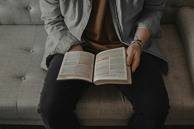 A Full Year Bible Reading Plan for 2026