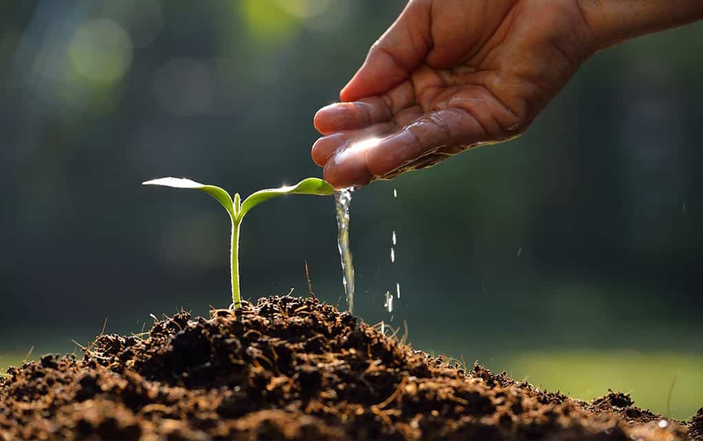Feeling Called by God to Start a Church Plant: Steps for a Successful Launch